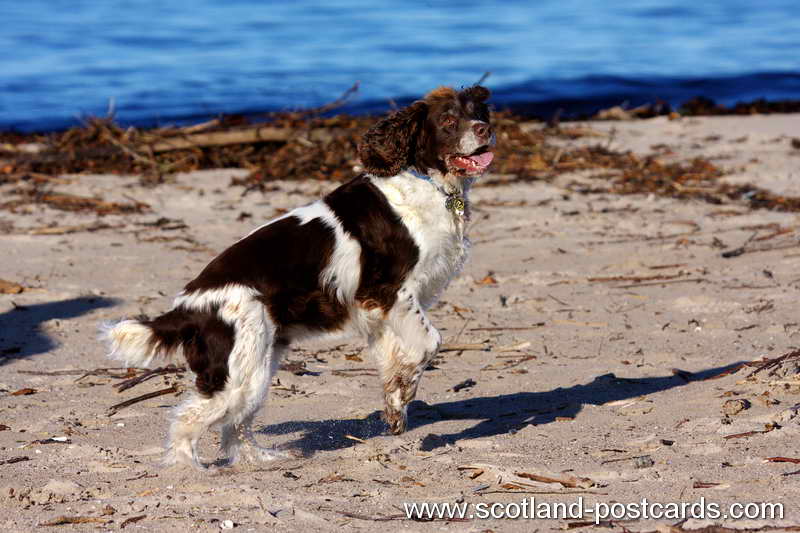Barney Springer IMG 1889 Barney Springer IMG 1889