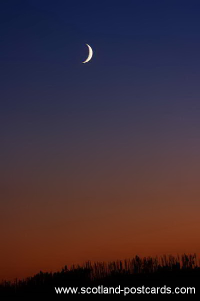 Blue Moon Blue Moon