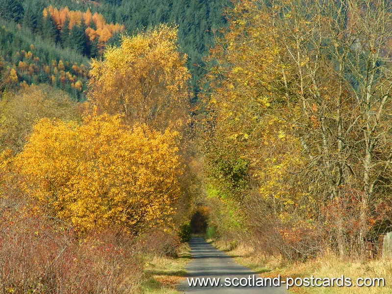 Colourful Path Colourful Path