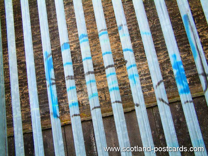 Fenced In Fenced In