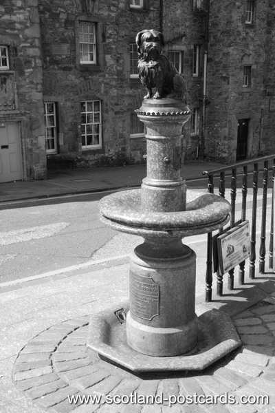 Greyfriars Bobby Statue B&W Greyfriars Bobby Statue B&W