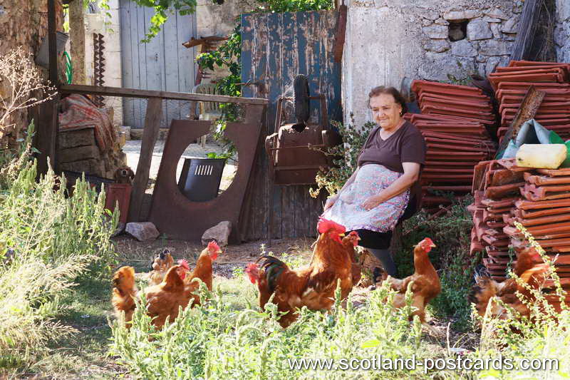 Greek Farm Greek Farm