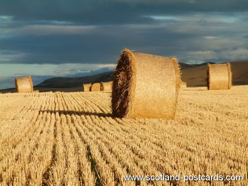 Haystacks Haystacks