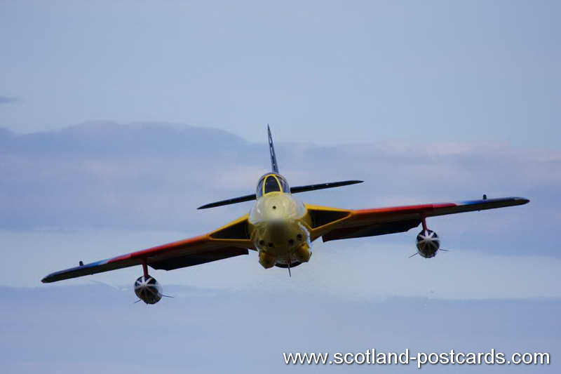 Head On Hunter Head On Hunter