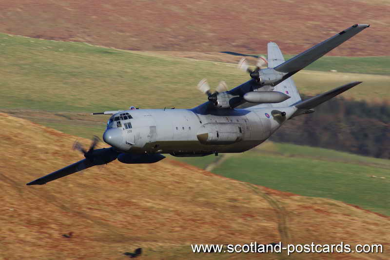 Herc Herc