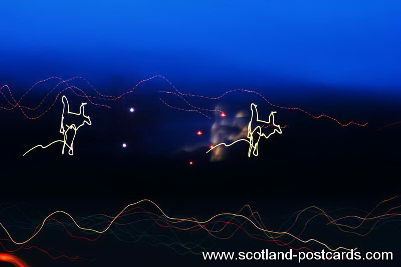 Light Horses Light Horses