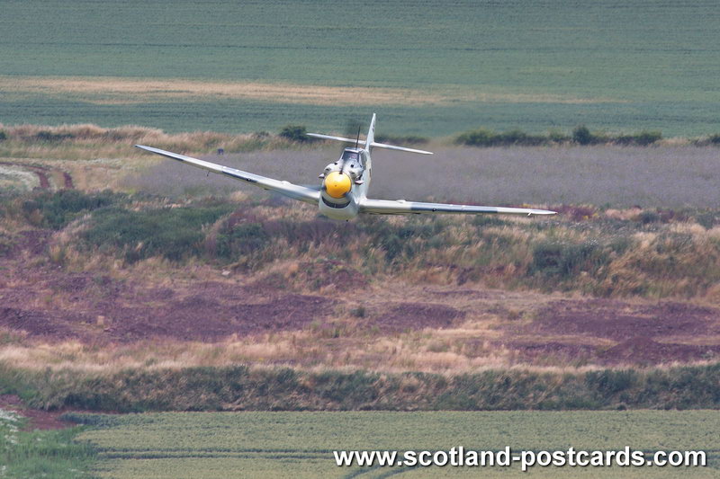 Me109 Head On Me109 Head On