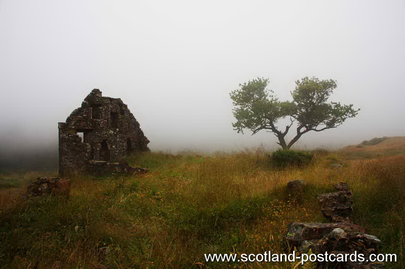 Misty Ruin Misty Ruin