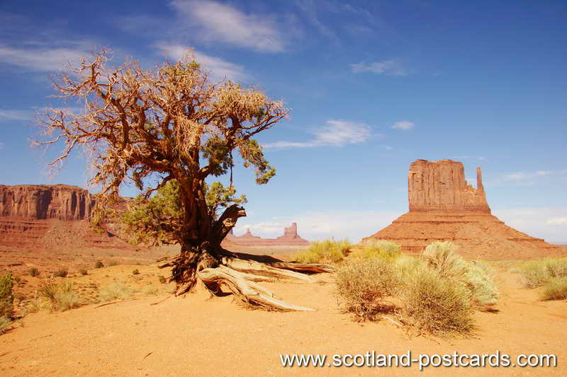 Monument Valley Scrub Monument Valley Scrub