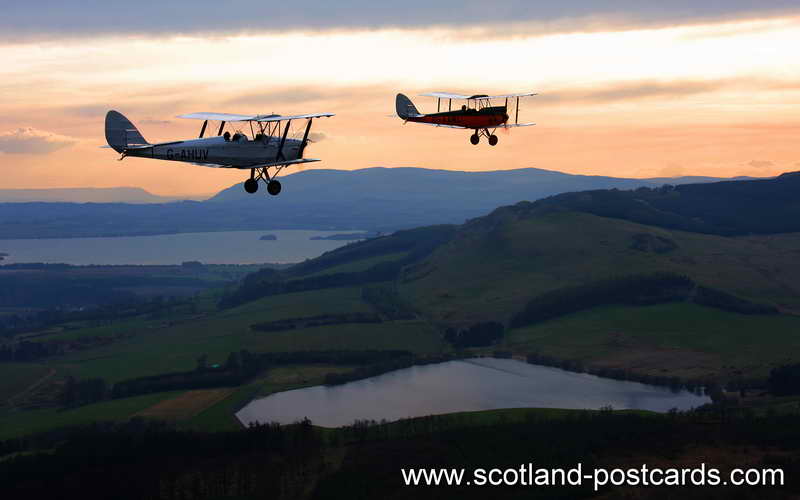 Moths at Dusk Moths at Dusk