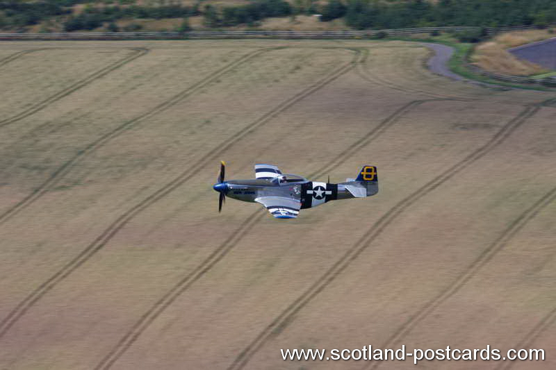 P51 Low Level P51 Low Level