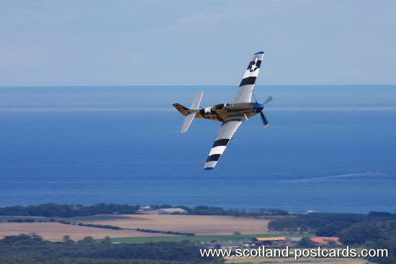 P51 Mustang P51 Mustang