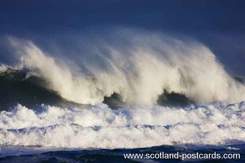 The Wave The Wave