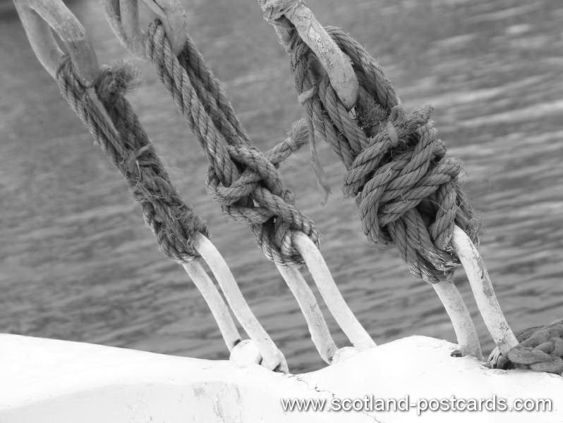 Tie Down Tie Down