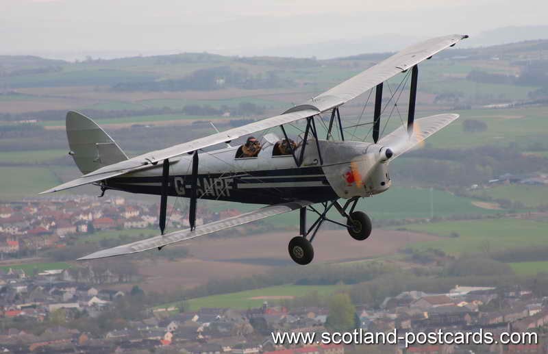 Tiger Moth Tiger Moth